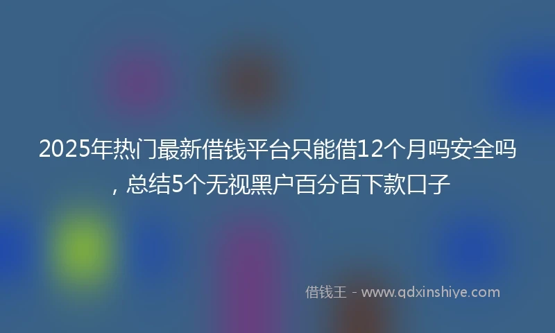 2025年热门最新借钱平台只能借12个月吗安全吗，总结5个无视黑户百分百下款口子