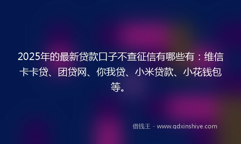 2025年的最新贷款口子不查征信有哪些有：维信卡卡贷、团贷网、你我贷、小米贷款、小花钱包等。