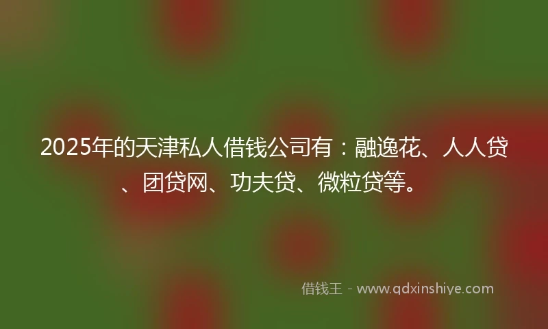 2025年的天津私人借钱公司有：融逸花、人人贷、团贷网、功夫贷、微粒贷等。