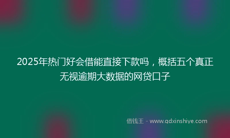2025年热门好会借能直接下款吗,概括五个真正无视逾期大数据的网贷口子