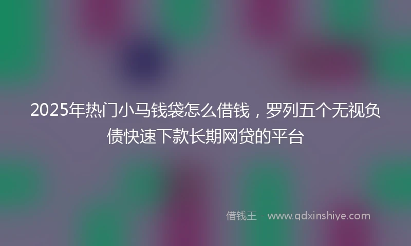 2025年热门小马钱袋怎么借钱，罗列五个无视负债快速下款长期网贷的平台