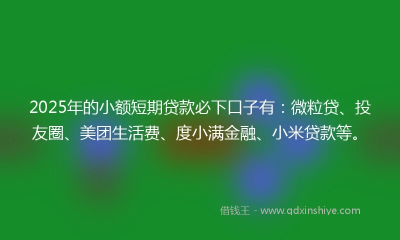 2025年的小额短期贷款必下口子有：微粒贷、投友圈、美团生活费、度小满金融、小米贷款等。