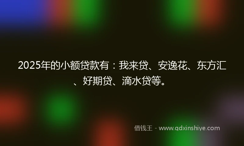 2025年的小额贷款有：我来贷、安逸花、东方汇、好期贷、滴水贷等。