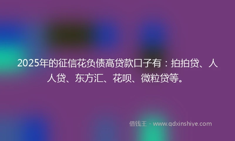 2025年的征信花负债高贷款口子有：拍拍贷、人人贷、东方汇、花呗、微粒贷等。