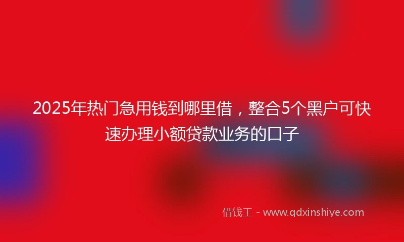 2025年热门急用钱到哪里借，整合5个黑户可快速办理小额贷款业务的口子