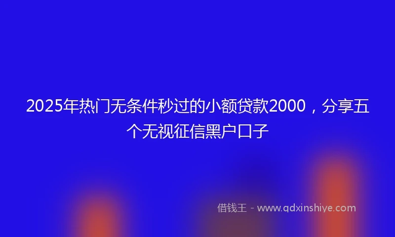 2025年热门无条件秒过的小额贷款2000，分享五个无视征信黑户口子