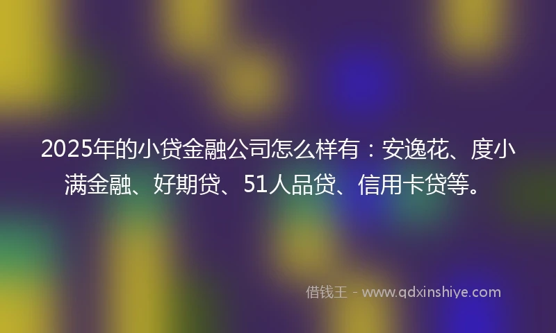 2025年的小贷金融公司怎么样有：安逸花、度小满金融、好期贷、51人品贷、信用卡贷等。