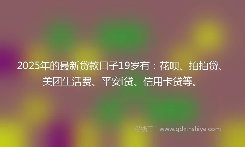 2025年的最新贷款口子19岁有：花呗、拍拍贷、美团生活费、平安i贷、信用卡贷等。