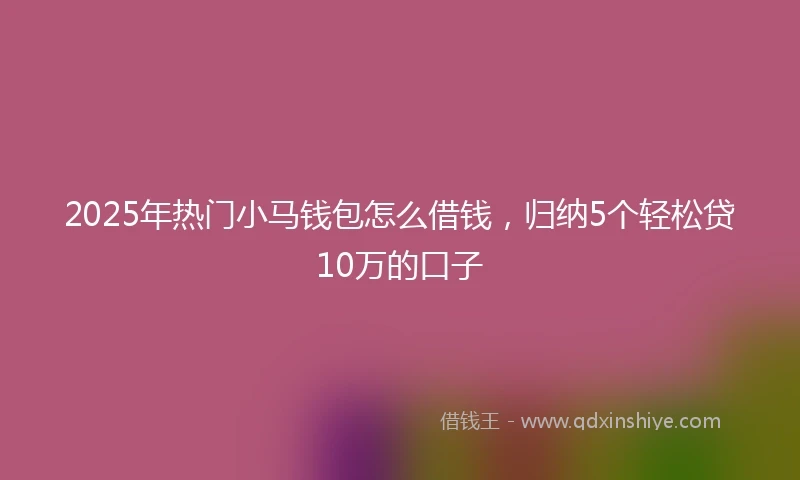 2025年热门小马钱包怎么借钱，归纳5个轻松贷10万的口子