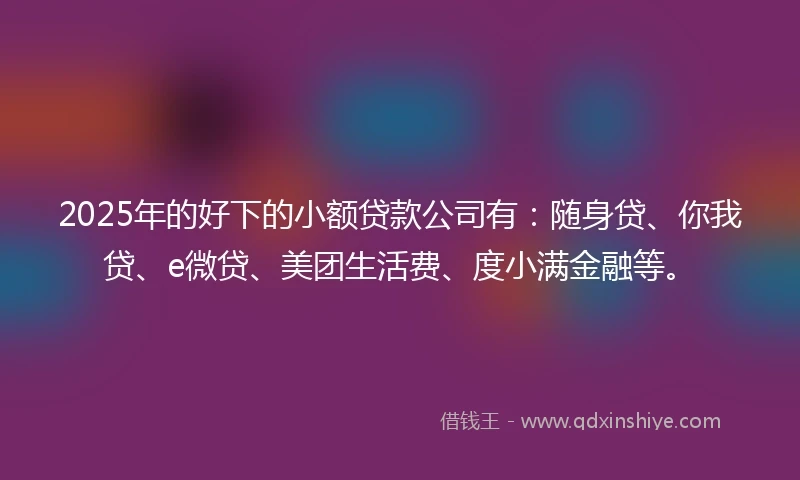 2025年的好下的小额贷款公司有：随身贷、你我贷、e微贷、美团生活费、度小满金融等。