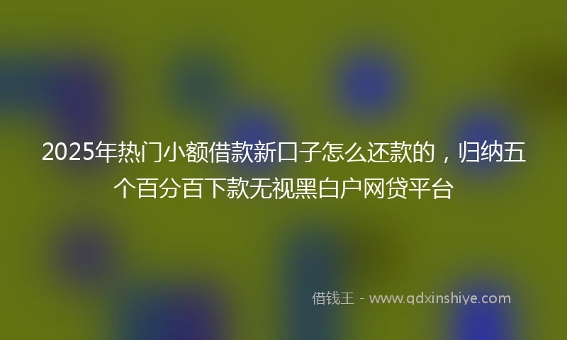 2025年热门小额借款新口子怎么还款的，归纳五个百分百下款无视黑白户网贷平台