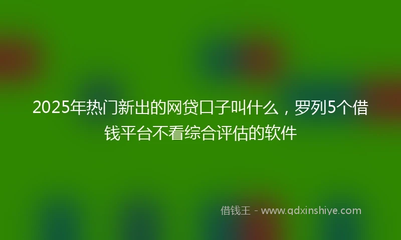 2025年热门新出的网贷口子叫什么，罗列5个借钱平台不看综合评估的软件