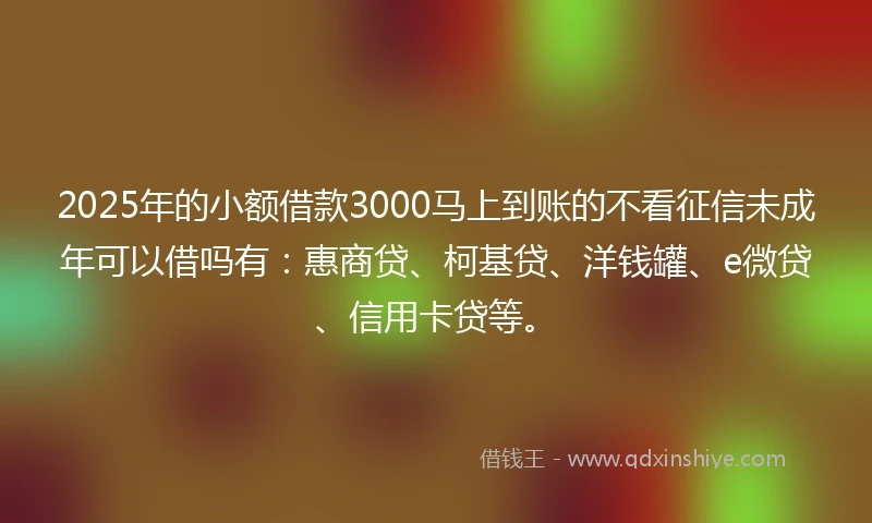 2025年的小额借款3000马上到账的不看征信未成年可以借吗有：惠商贷、柯基贷、洋钱罐、e微贷、信用卡贷等。