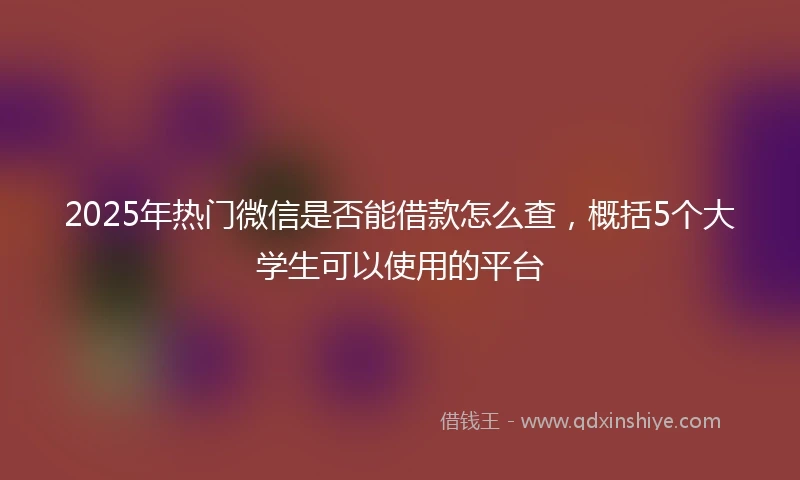 2025年热门微信是否能借款怎么查，概括5个大学生可以使用的平台