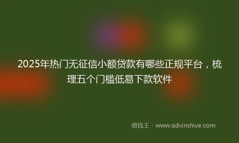2025年热门无征信小额贷款有哪些正规平台，梳理五个门槛低易下款软件