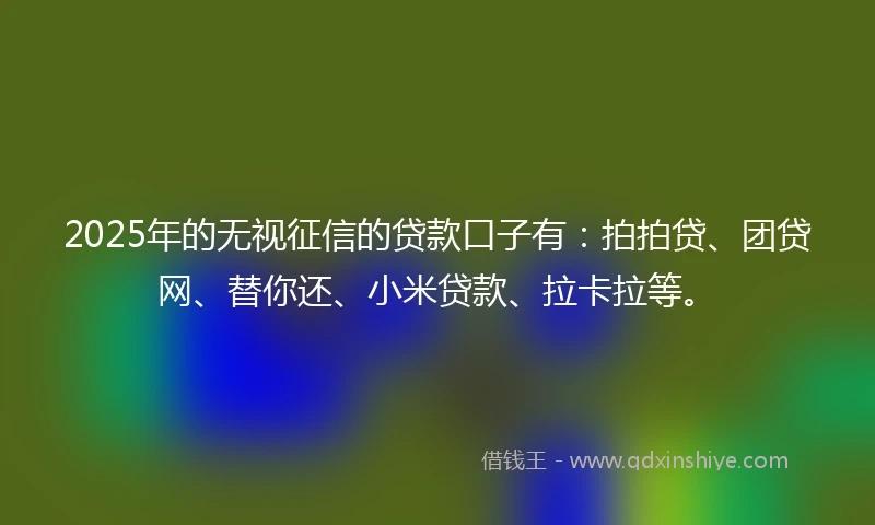 2025年的无视征信的贷款口子有：拍拍贷、团贷网、替你还、小米贷款、拉卡拉等。