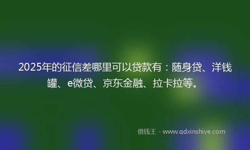 2025年的征信差哪里可以贷款有：随身贷、洋钱罐、e微贷、京东金融、拉卡拉等。