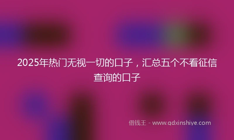 2025年热门无视一切的口子，汇总五个不看征信查询的口子