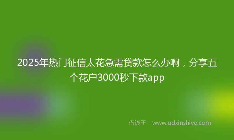 2025年热门征信太花急需贷款怎么办啊，分享五个花户3000秒下款app