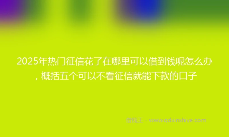 2025年热门征信花了在哪里可以借到钱呢怎么办，概括五个可以不看征信就能下款的口子