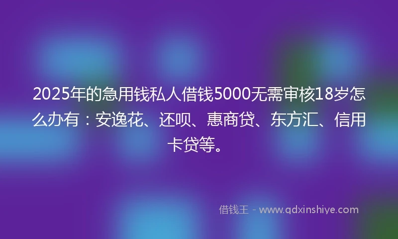 2025年的急用钱私人借钱5000无需审核18岁怎么办有：安逸花、还呗、惠商贷、东方汇、信用卡贷等。