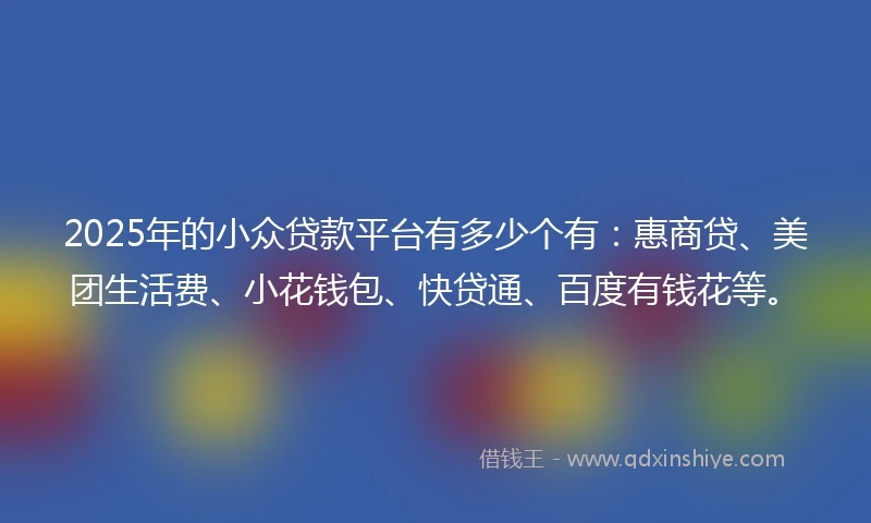 2025年的小众贷款平台有多少个有：惠商贷、美团生活费、小花钱包、快贷通、百度有钱花等。