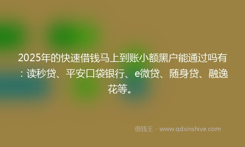 2025年的快速借钱马上到账小额黑户能通过吗有：读秒贷、平安口袋银行、e微贷、随身贷、融逸花等。