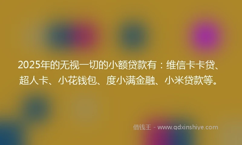 2025年的无视一切的小额贷款有：维信卡卡贷、超人卡、小花钱包、度小满金融、小米贷款等。