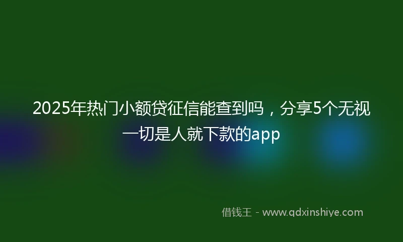 2025年热门小额贷征信能查到吗，分享5个无视一切是人就下款的app