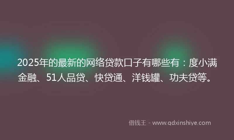 2025年的最新的网络贷款口子有哪些有：度小满金融、51人品贷、快贷通、洋钱罐、功夫贷等。