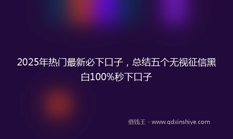 2025年热门最新必下口子，总结五个无视征信黑白100%秒下口子