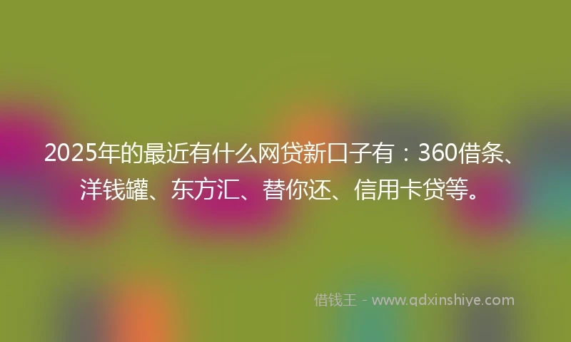 2025年的最近有什么网贷新口子有：360借条、洋钱罐、东方汇、替你还、信用卡贷等。
