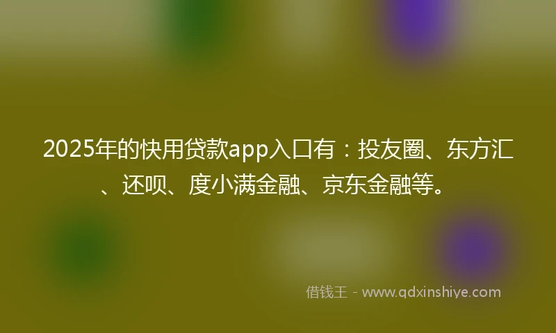 2025年的快用贷款app入口有：投友圈、东方汇、还呗、度小满金融、京东金融等。