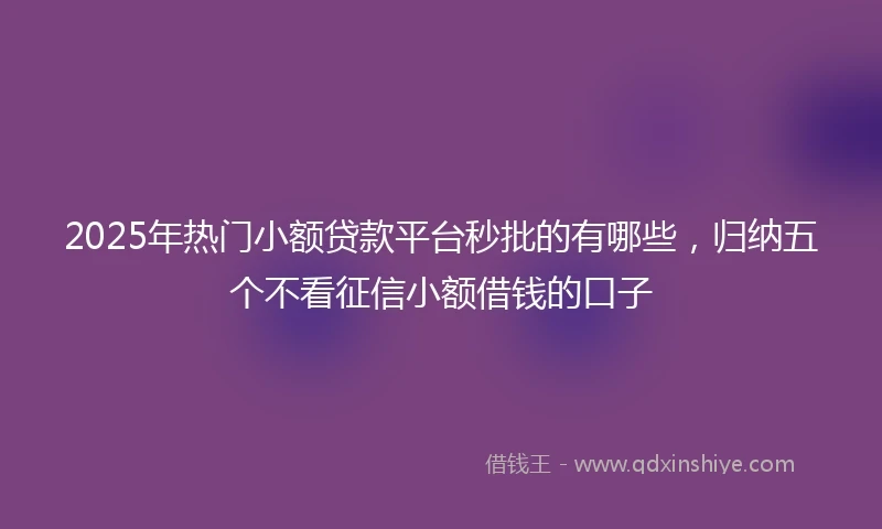 2025年热门小额贷款平台秒批的有哪些，归纳五个不看征信小额借钱的口子