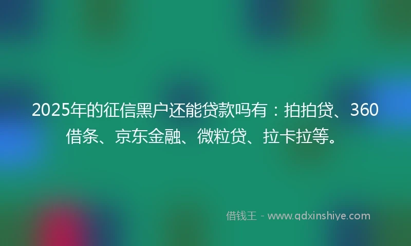 2025年的征信黑户还能贷款吗有：拍拍贷、360借条、京东金融、微粒贷、拉卡拉等。