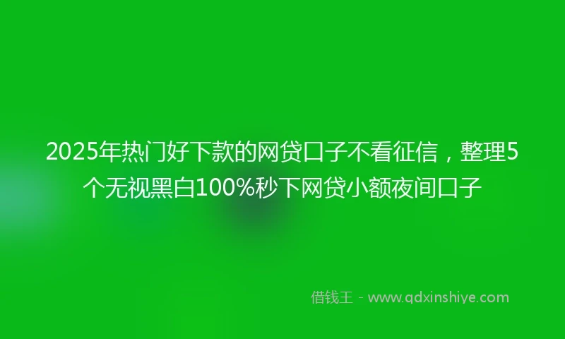 2025年热门好下款的网贷口子不看征信，整理5个无视黑白100%秒下网贷小额夜间口子