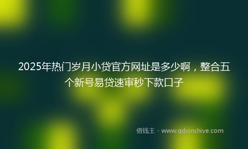 2025年热门岁月小贷官方网址是多少啊，整合五个新号易贷速审秒下款口子