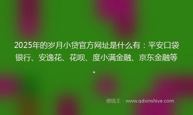 2025年的岁月小贷官方网址是什么有：平安口袋银行、安逸花、花呗、度小满金融、京东金融等。