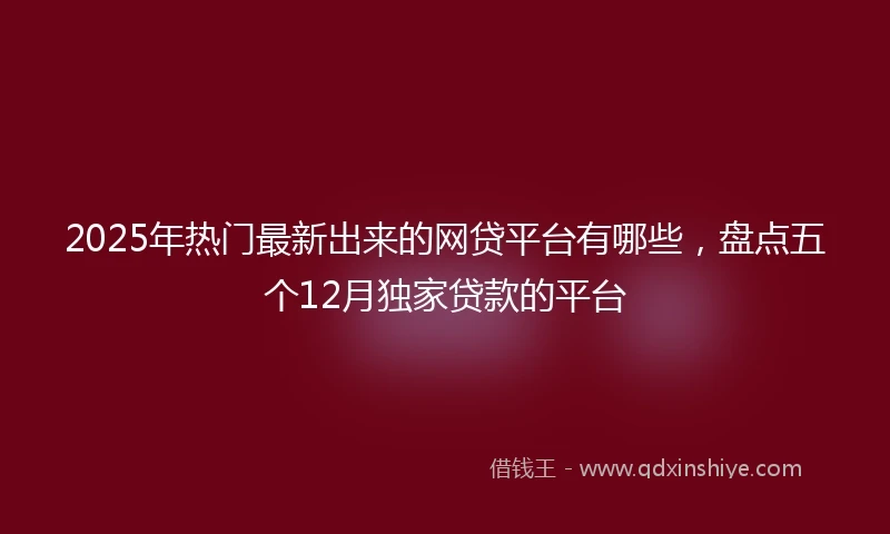2025年热门最新出来的网贷平台有哪些，盘点五个12月独家贷款的平台