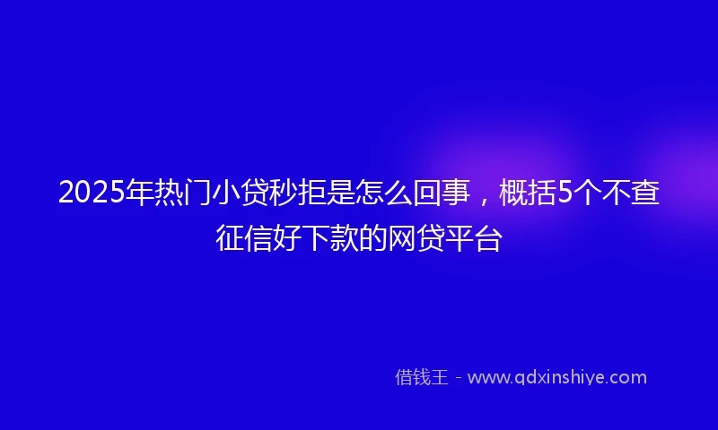 2025年热门小贷秒拒是怎么回事，概括5个不查征信好下款的网贷平台