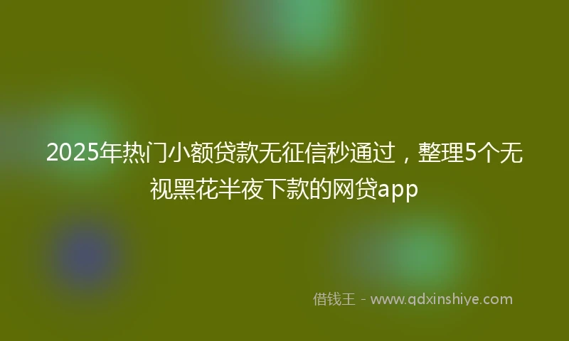 2025年热门小额贷款无征信秒通过，整理5个无视黑花半夜下款的网贷app