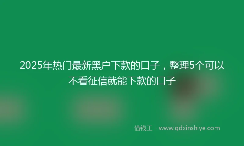 2025年热门最新黑户下款的口子，整理5个可以不看征信就能下款的口子