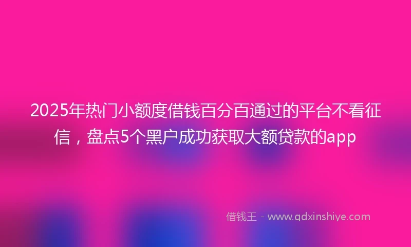 2025年热门小额度借钱百分百通过的平台不看征信，盘点5个黑户成功获取大额贷款的app
