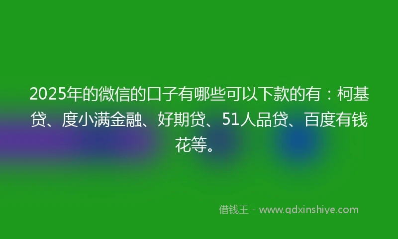 2025年的微信的口子有哪些可以下款的有：柯基贷、度小满金融、好期贷、51人品贷、百度有钱花等。