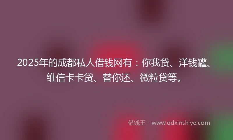 2025年的成都私人借钱网有：你我贷、洋钱罐、维信卡卡贷、替你还、微粒贷等。