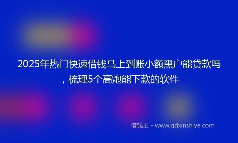 2025年热门快速借钱马上到账小额黑户能贷款吗，梳理5个高炮能下款的软件