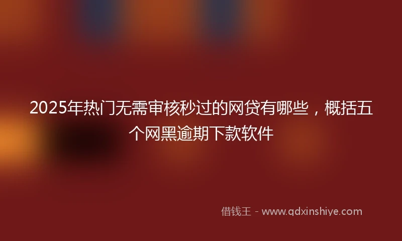 2025年热门无需审核秒过的网贷有哪些，概括五个网黑逾期下款软件