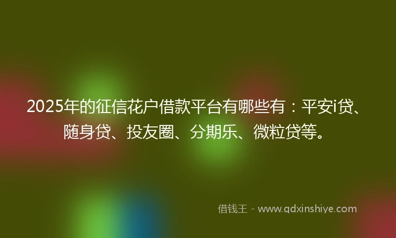 2025年的征信花户借款平台有哪些有：平安i贷、随身贷、投友圈、分期乐、微粒贷等。