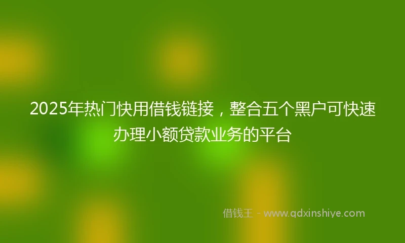 2025年热门快用借钱链接，整合五个黑户可快速办理小额贷款业务的平台