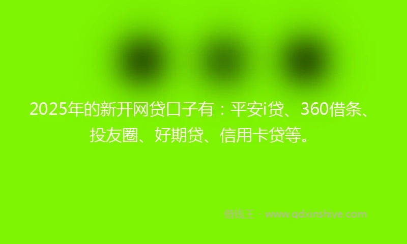 2025年的新开网贷口子有：平安i贷、360借条、投友圈、好期贷、信用卡贷等。